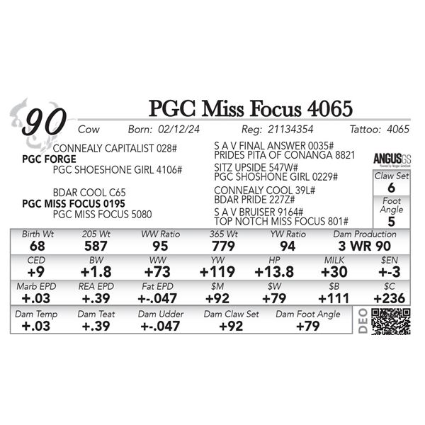 PGC Miss Focus 4065