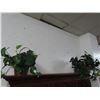 Image 1 : Potted Silk Florals - 2