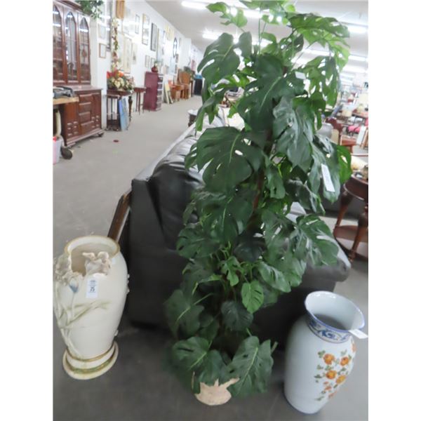 Potted Silk Tree