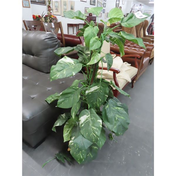 Potted Silk Tree