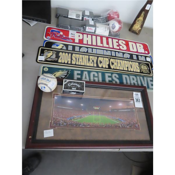 Stadium Photo Memorabilia, Phillies/Sports Teams Memorabilia, Balls