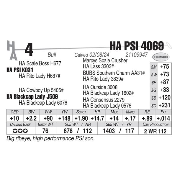 HA PSI 4069
