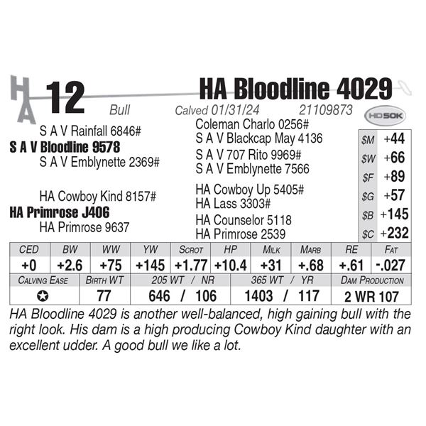 HA Bloodline 4029