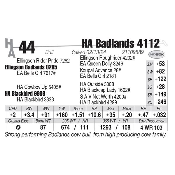 HA Badlands 4112
