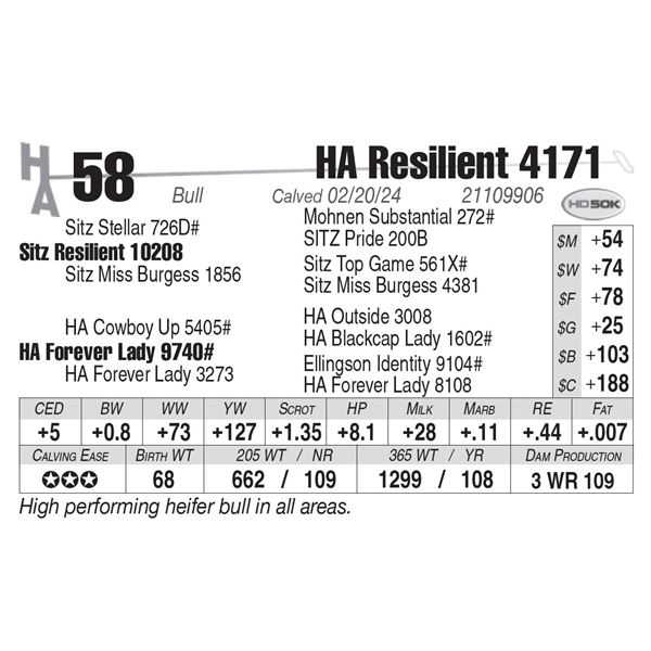 HA Resilient 4171