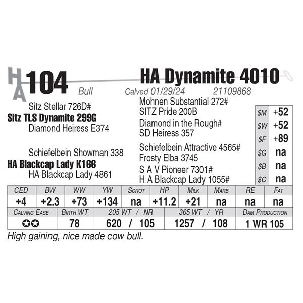 HA Dynamite 4010
