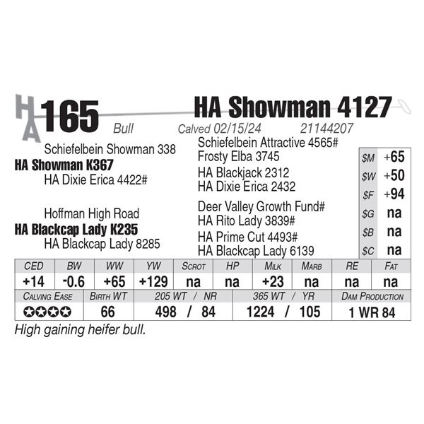 HA Showman 4127