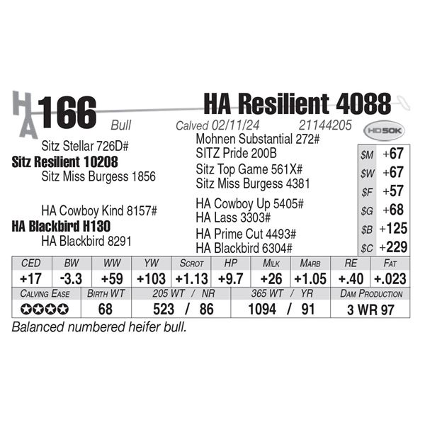 HA Resilient 4088