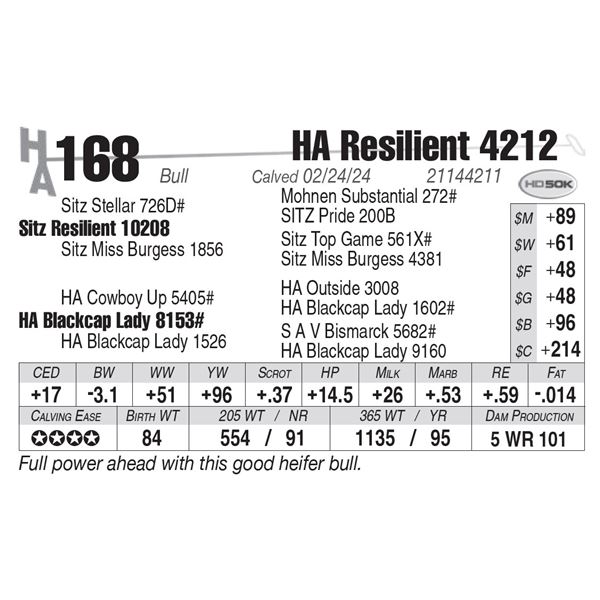 HA Resilient 4212