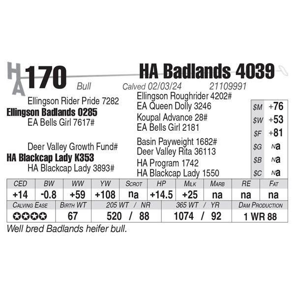 HA Badlands 4039