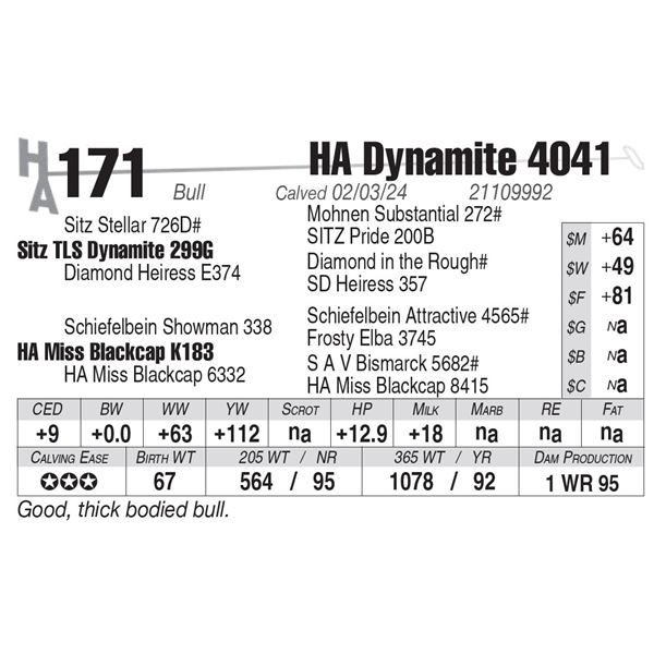 HA Dynamite 4041