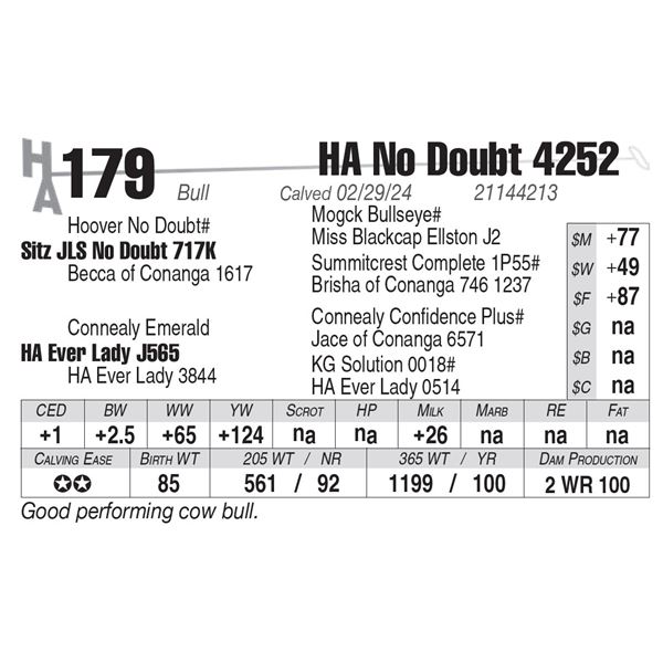 HA No Doubt 4252