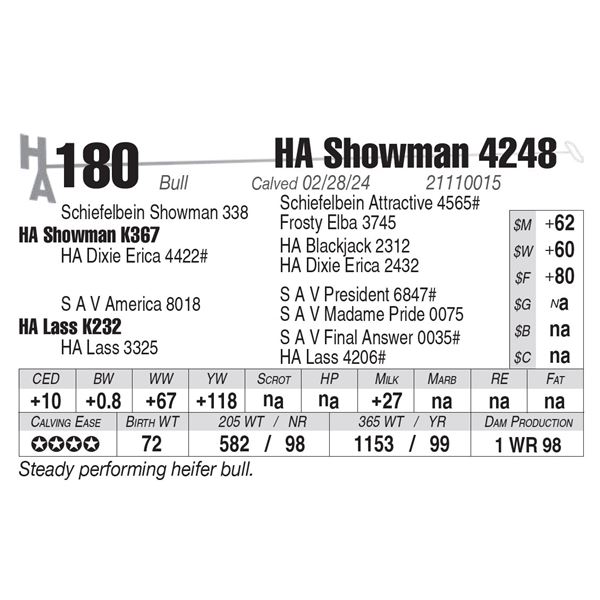 HA Showman 4248