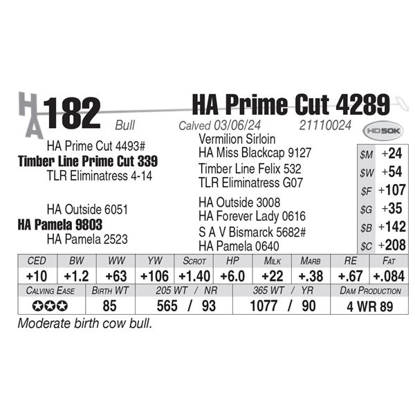 HA Prime Cut 4289