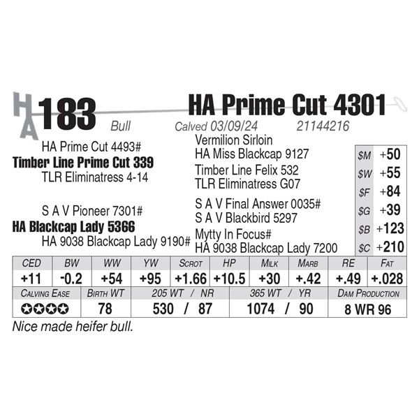 HA Prime Cut 4301