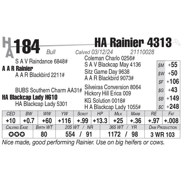 HA Rainier 4313