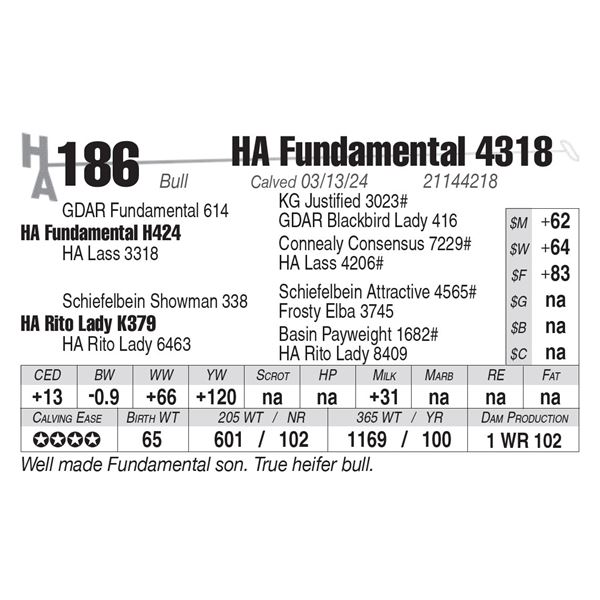HA Fundamental 4318