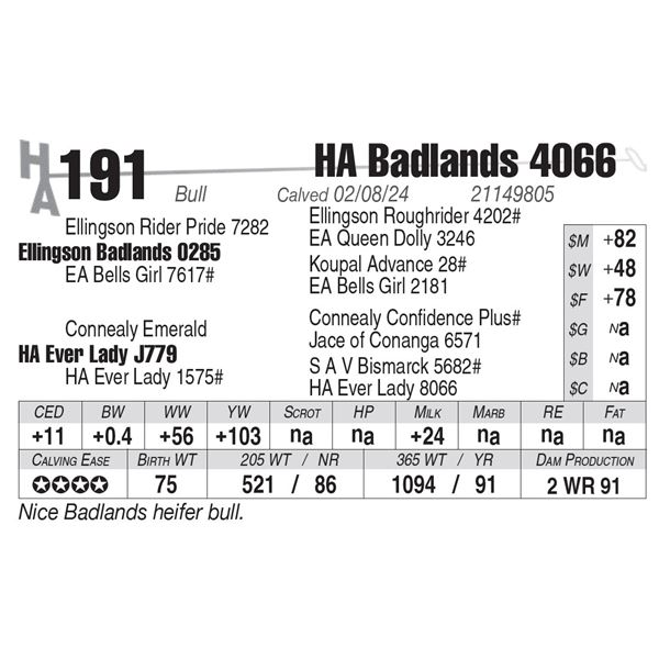 HA Badlands 4066