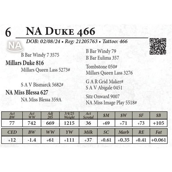 NA Duke 466