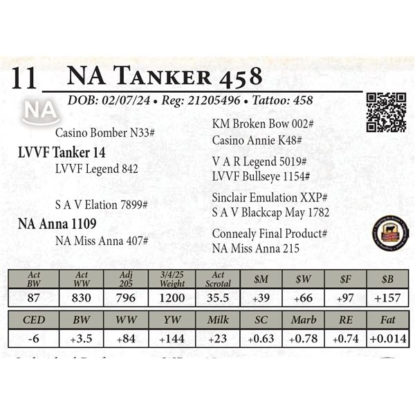 NA Tanker 458