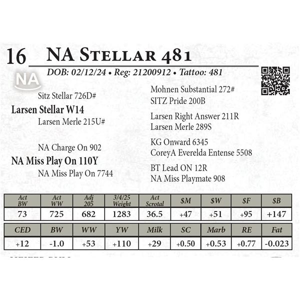 NA Stellar 481