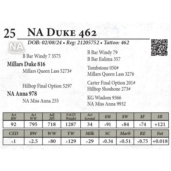NA Duke 462