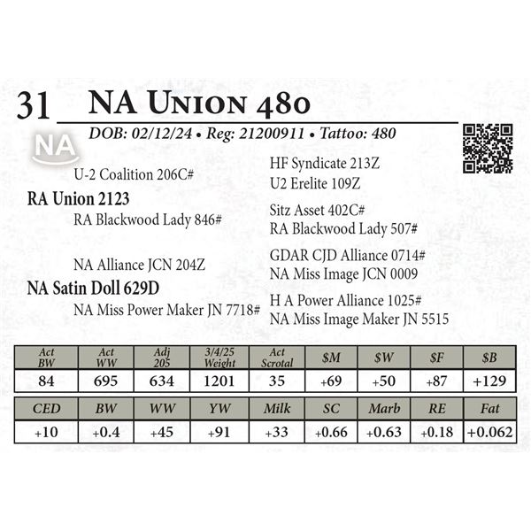 NA Union 480