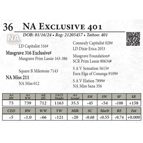 NA Exclusive 401