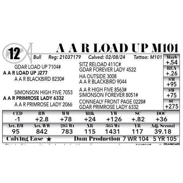 A A R Load Up M101