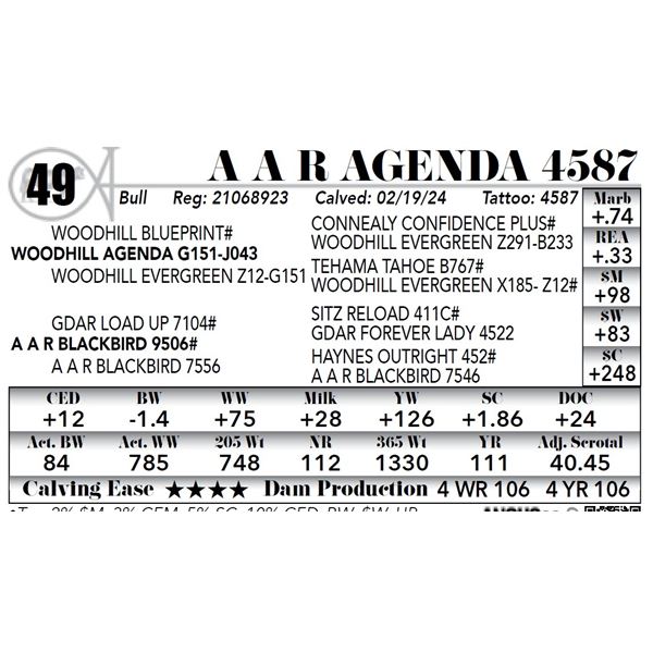 A A R Agenda 4587