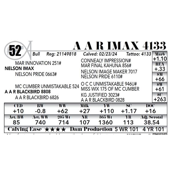 A A R Imax 4133