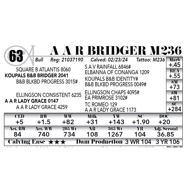 A A R Bridger M236