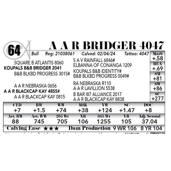 A A R Bridger 4047