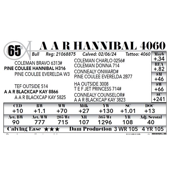 A A R Hannibal 4060