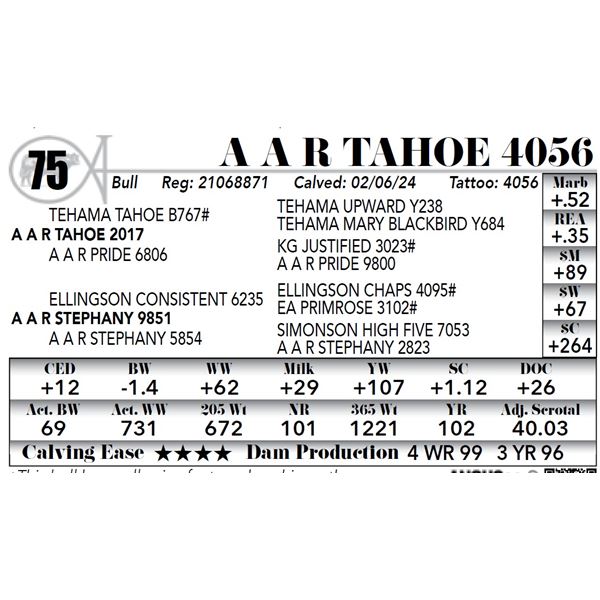 A A R Tahoe 4056