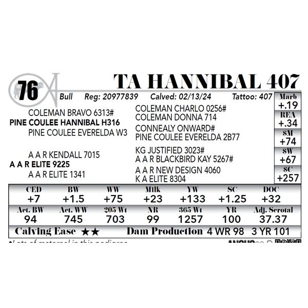 TA Hannibal 407