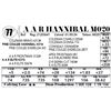 Image 1 : A A R Hannibal M020
