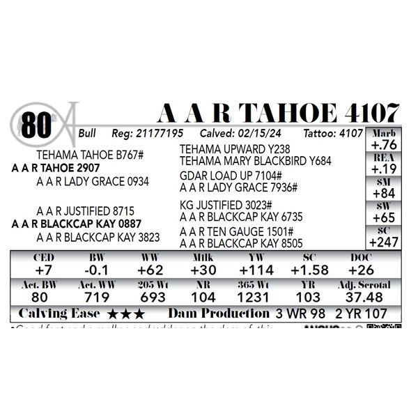 A A R Tahoe 4107