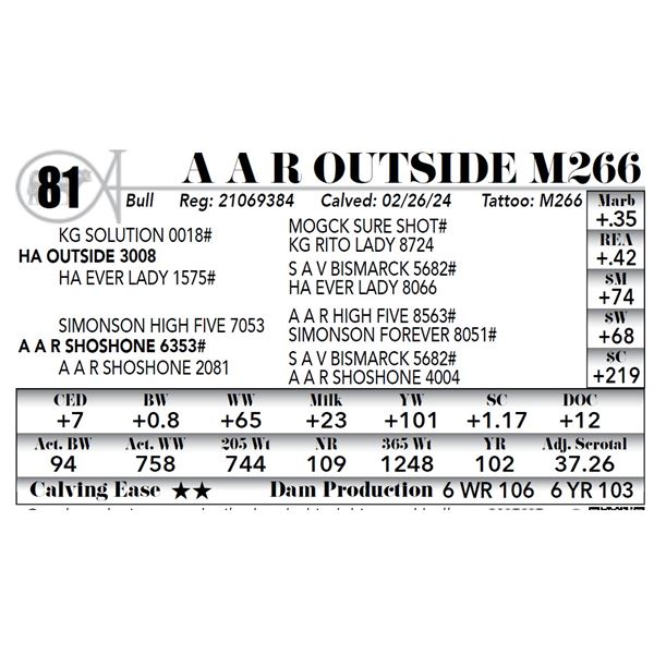 A A R Outside M266