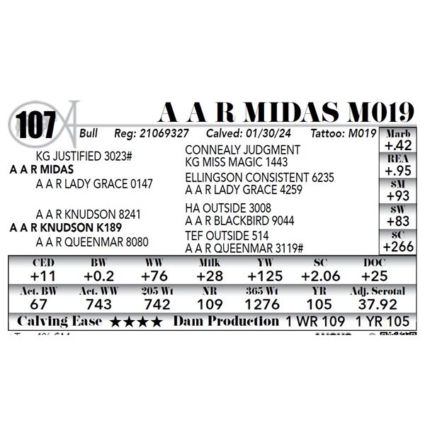 A A R Midas M019