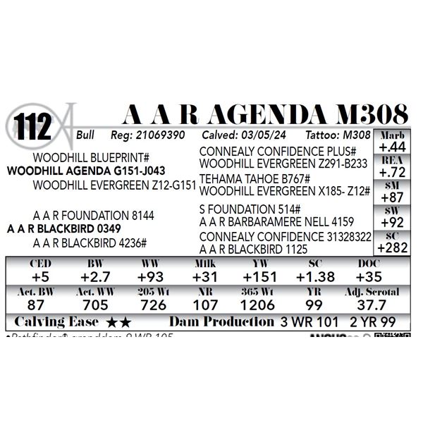 A A R Agenda M308