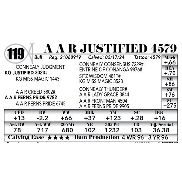 A A R Justified 4579