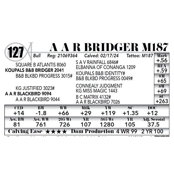 A A R Bridger M187