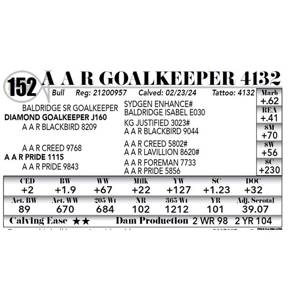 A A R Goalkeeper 4132