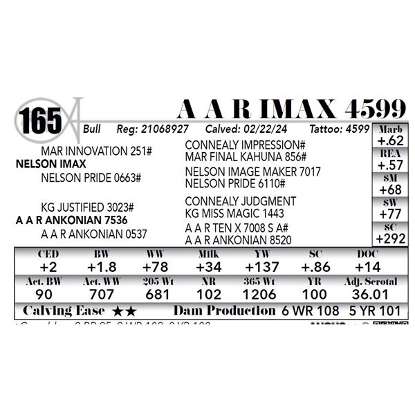 A A R Imax 4599