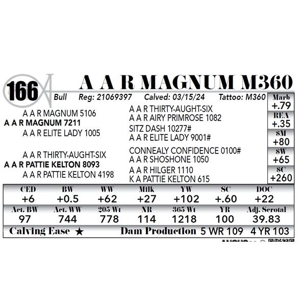 A A R Magnum M360