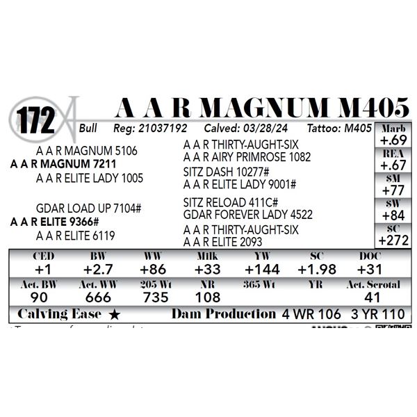 A A R Magnum M405