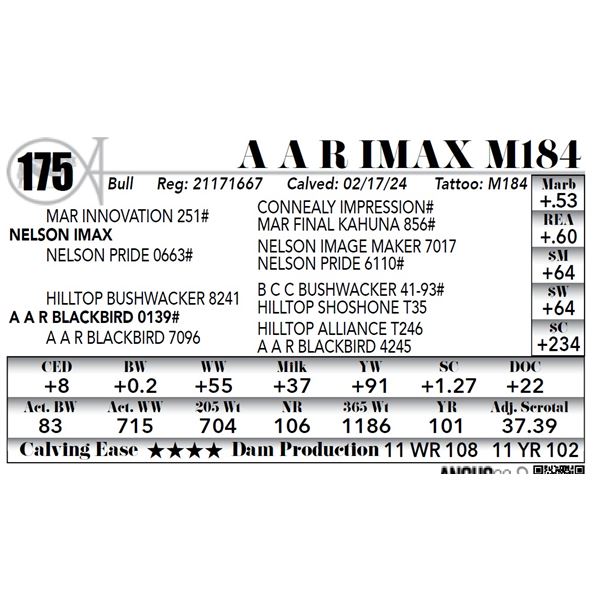A A R Imax M184