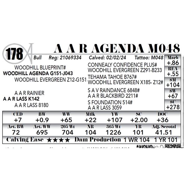A A R Agenda M048