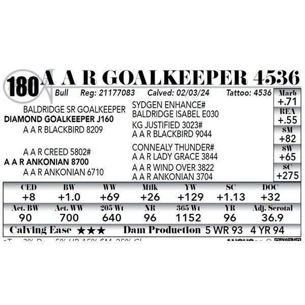 A A R Goalkeeper 4536